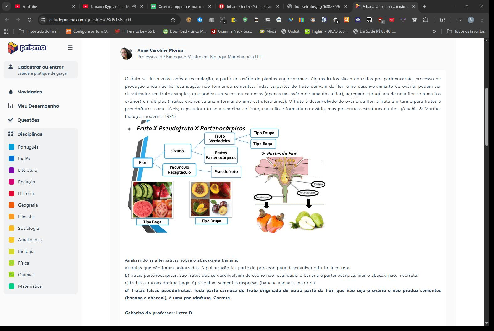 Sem título-1775887814558